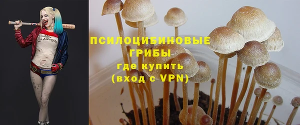 МДМА Инсар