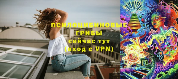 бутират Инта