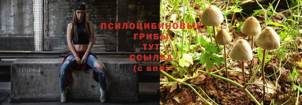 МДМА Инсар