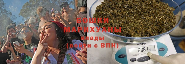 гидра Каменногорск