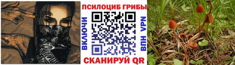 Псилоцибиновые грибы Magic Shrooms  Зерноград 