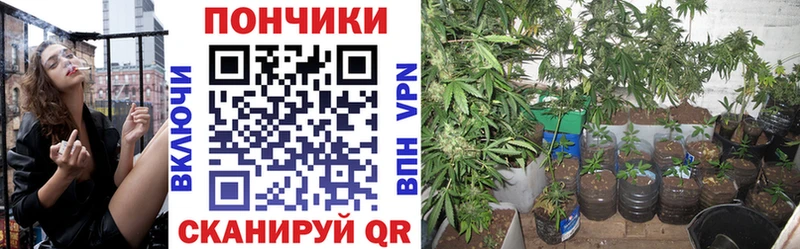 что такое наркотик  Зерноград  Каннабис SATIVA & INDICA 